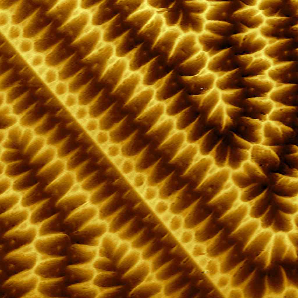 magnetic domains in ferrite garnet film