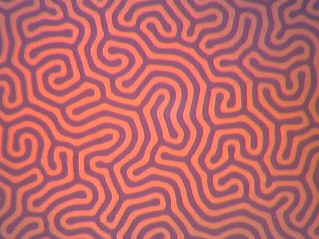 Magnetic stripe domains in ferrite-garnet thin film