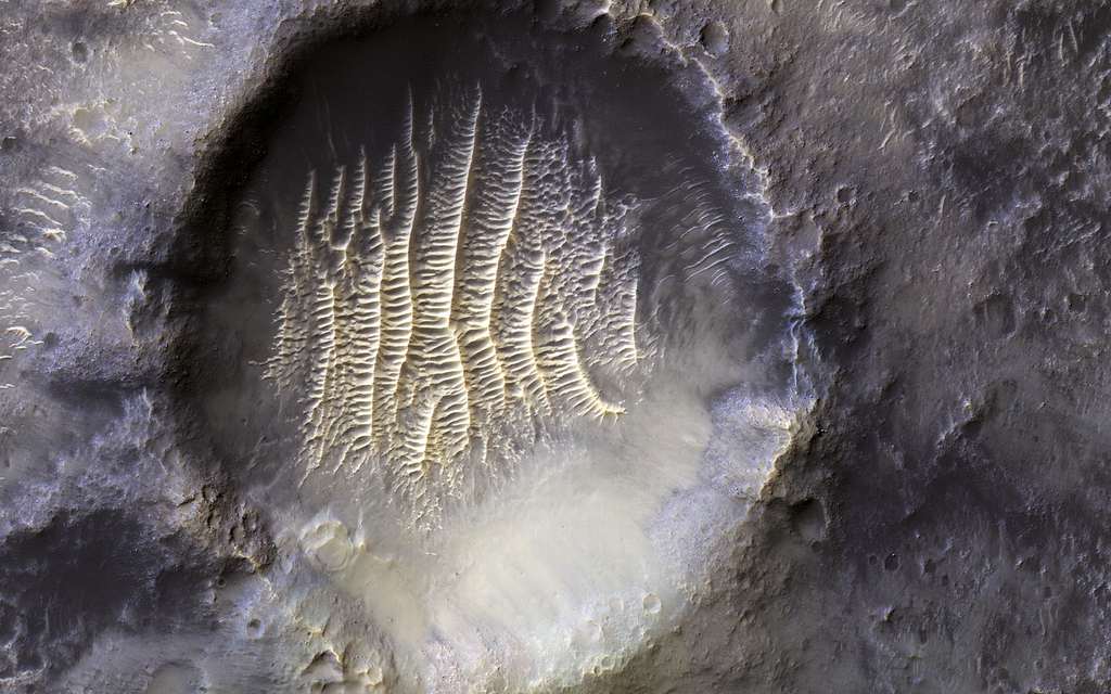 nasa-jpl-nisar-antenna-reflector