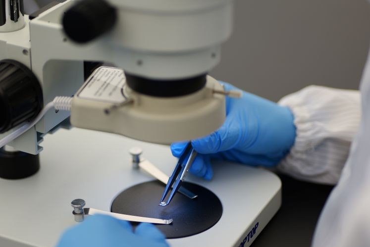 Professional team photo